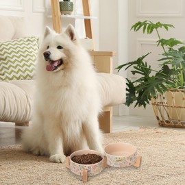 SPUNKYJUNKY Ceramic Dog and Cat Bowl Set with Wooden Stand, Modern Cute Weighted Food Water Bowl Set for Medium Size Dogs (3.6 Cups, 2 × Doodle-Latte)