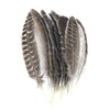 Ergeob Turkey Feather 20 – 30 cm/8 – 12-inch Length