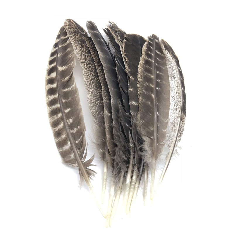 Ergeob Turkey Feather 20 – 30 cm/8 – 12-inch Length