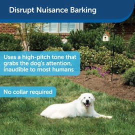 PetSafe Outdoor Bark Control, 15 m Range, Automatic, Anti-Bark, Ultrasonic Stimulation, X-Small