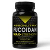 Absonutrix Fucoidan Pure 4 Absonutrix Fucoidan Atlantic Brown Seaweed 500