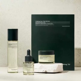 Pyunkang Yul 진정라인 트라이얼 선물세트 Soothing Line Trial Gift Set