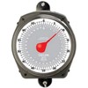 Taylor Precision Products Dial Style 70-Pound Industrial Hanging Scale (2)