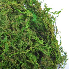 TOPCOMWW Fake Moss, 10.5oz Aftificial Decorative Green Grass for Centerpieces, Plant, Crafts, Flowers