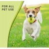 Morvat Professional Heavy Duty & High Pressured Tennis Balls, 12