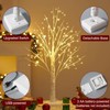 NXUEBDU 2ft Lighted Birch Tree with 144 Warm White LEDs