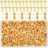 EuTengHao 700Pcs Brass Fasteners Scrapbooking Brads Round Head Brass Plated