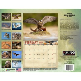 2026 Birds of Prey Wall Calendar 16-Month X-Large Size 14x22, Best Eagle, Hawk, Owl by The KING Company-Monster Calendars