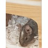 Sleepy Degu Bedding (60g) (3)