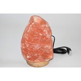 Himalayan Salt Rock Lamp with USB Plug- 2-3lb - Zen Decor