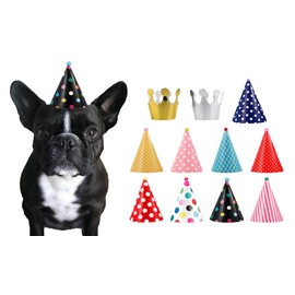 CBM Dog Party Hat Set - Dog Birthday Party - Hats and Crowns Party Time - 11pcs