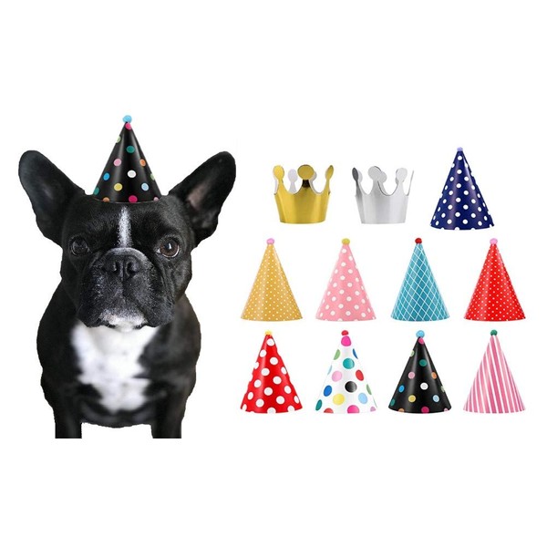 CBM Dog Party Hat Set - Dog Birthday Party -