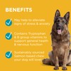 PAW by Blackmores Complete Calm Multivitamins for Dogs | Helps