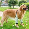 Dog Elbow Wounds Brace Thickened Soft Breathable Avocado Pattern Prevent