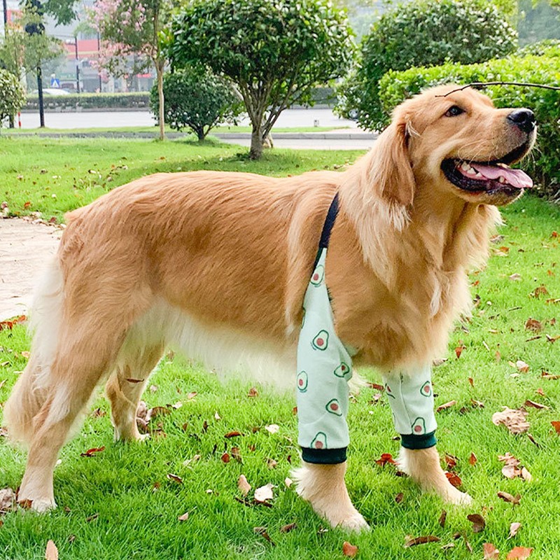 Dog Elbow Wounds Brace Thickened Soft Breathable Avocado Pattern Prevent