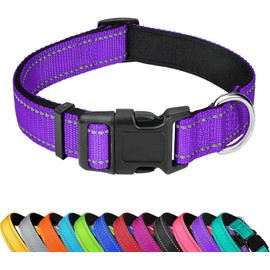 Collar reflectante para perro y gato, ajustable de neopreno suave y acolchado, hebilla, XS, verde azulado