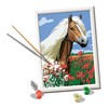 Ravensburger CreArt D Classic: Haflinger Horse Painting Set by Numbers