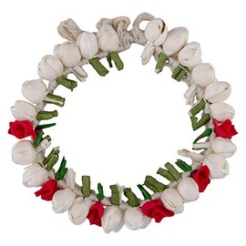 AakarShana jewels Traditional Indian Look Hair Accessories Best Match for Bollywood Dance Looks Like Natural Flowers Party Accessories for Weddings Proms Parties or Other Occassions