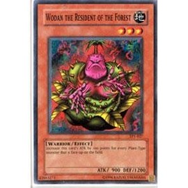Yu-Gi-Oh! - Wodan The Resident of The Forest (TP1-027) - Tournament Pack 1 - Promo Edition - Common