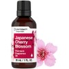 Horbäach Japanese Cherry Blossom Fragrance Oil | 1 fl oz