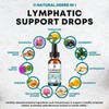 Lymphatic Drainage Drops - 11 in 1 Lymphatic Supplement with
