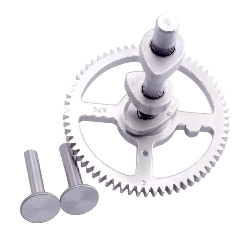 RYTIME 793880 84005207 Camshaft Compatible With Briggs and Stratton 793583
