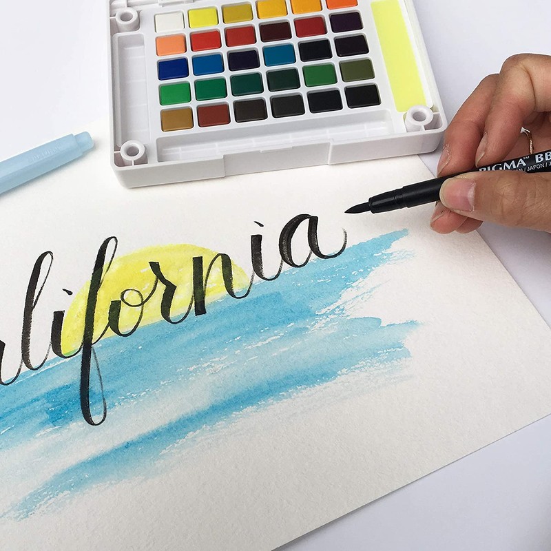 Sakura Pigma Professional Brush Pens - Brush Tip Pens -