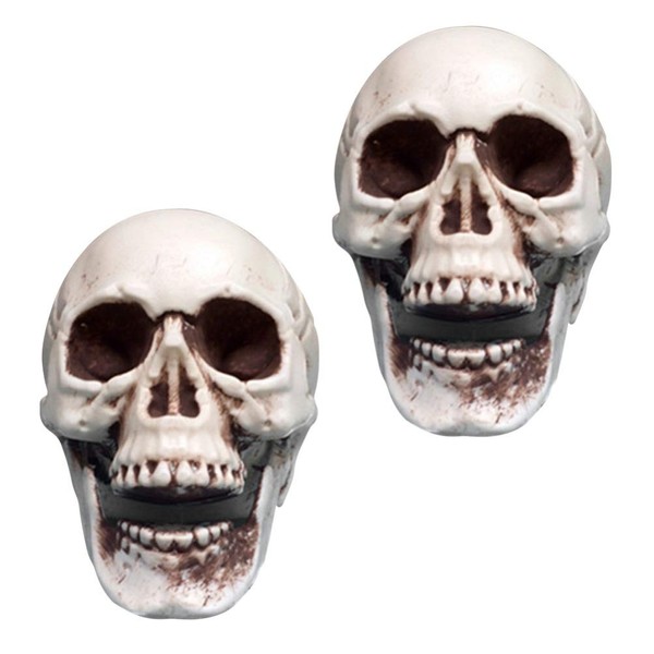 Toddmomy 6 Pieces Halloween Skulls Human Skeleton Head Skull Mini