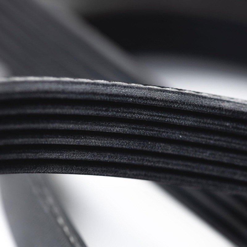 QUARKZMAN 6PK1085 V-Ribbed Belt, 6 Ribs, 1085 mm Length x
