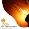 Tiqian 8-Pack E12 Base 60W 120V B10 CTC Incandescent Clear