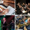 Tin Whistle D, Tin Whistle for Beginners, Penny Whistles Irish