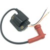Ignition Coil for Yamaha 60HP 70HP Outboard (1984-2000) 6H3-85570-10-00 6H3-85570-00-00
