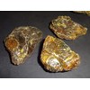 Sublime Gifts - Amber - Genuine Petrified fossilized Tree sap