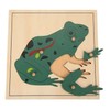 MONTESSORI Frog Puzzle - MONTESSORI BIOLOGY/ZOOLOGY MATERIALS
