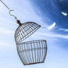WitBicg Hanging Chain for Hanging Bird Feeders, Birdbaths, Planters and