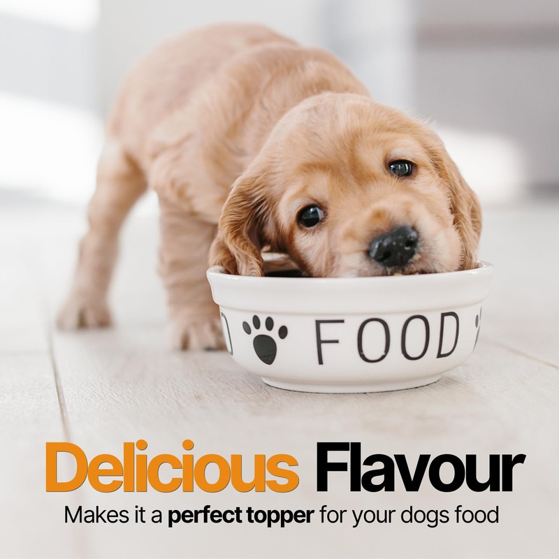 Pumpkin X by Paw Originals – 100% Pure Pumpkin Powder