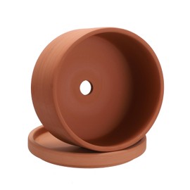 JUXYES 6 Inch Terracotta Shallow Pot with Holes and Saucers, Round Cylinder Succulent Planter Clay Flower Pots for Indoor and Outdoor Use, Decorative Bonsai Succulent for Mini Foliage Plants Orchids