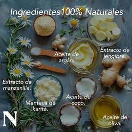 Dr. Natural Shampoo sin Sulfatos y sin Parabenos 473 ml. 100% Hecho de Plantas y Aceites Naturales. Nutre, Repara e Hidrata todo tipo de cabello. (473, Aceite de Argán)