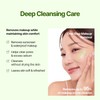 Blueberry Pore Deep Cleansing Balm, 2.7 fl oz (80 ml),