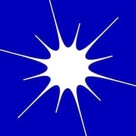 熱狂は全てを超えて