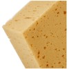 Holtz Blackboard Sponge Single Pack of 1 Brown