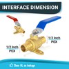 (Pack of 8) Seelink 1/2 Inch PEX x 1/2 Inch