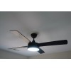 Indoor Ceiling Fan with Light and Remote Control