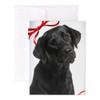 CafePress Black Lab Christmas Notecards (Set Of 20) 4.25" x