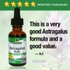 Nature's Answer Astragalus Root Alcohol Free Herbal Supplement 1 Ounce