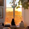 Stained Glass Window Hanging Cat, Cat Suncatchers for Windows Hanging,