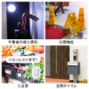seathestars Record/Play Your Favorite Sound Voice Player Motion Sensor Chime