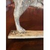 Bright Ideas Christmas Deer Reindeer Wood Flat Standing Holiday Decoration