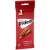 Trident Sugar Free Gum, Cinnamon Flavor, 60 Packs (840 Pieces