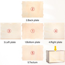 Memorywuu Wooden Diorama Box Deep Shadow Box Frame Large Display Box Display Case 14" x 8.7" x 10.6'' with Transparent Front Suitable for Collectibles Dollhouse Figures Diorama